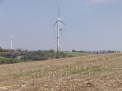 103 Windpark Dielsdorf 0003